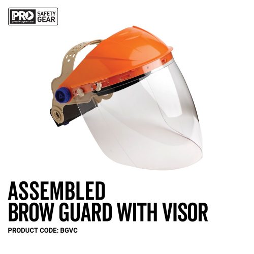 Assembled Browguard with Visor