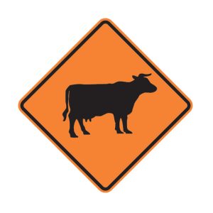 Cattle Level 1